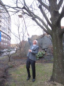 Kent Kilvik hänger upp fågelholken i trädet vid Jaktslottet. Foto. Eskil Malmberg.